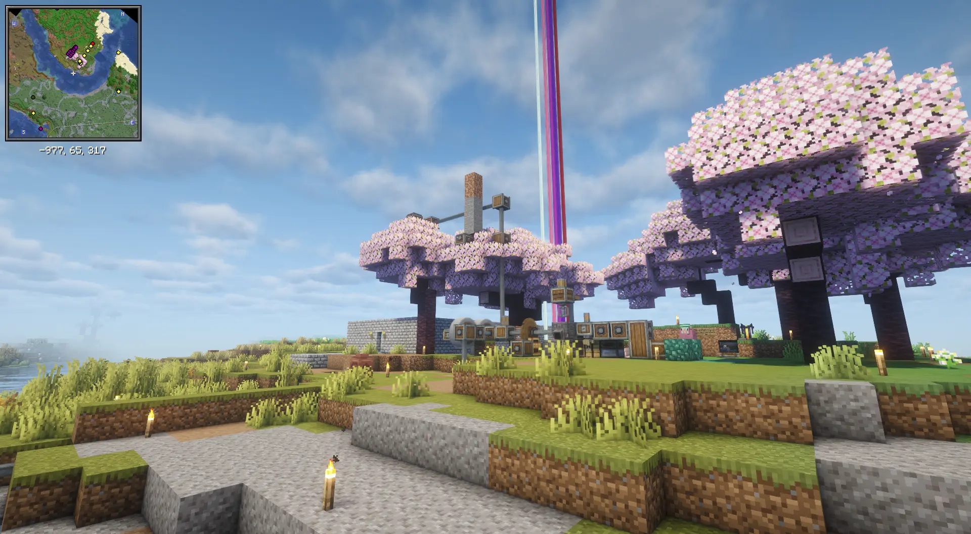 Cherry tree landscape